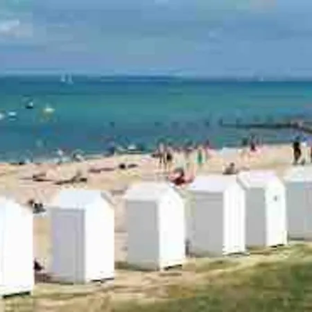 Au Coeur De St Martin : La Cible * Saint-Martin-de-Ré