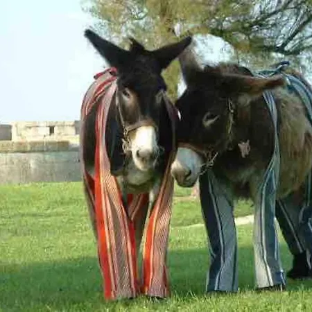 Au Coeur De St Martin : La Cible Saint-Martin-de-Ré